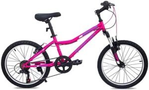 Spartan 20" Alpine MTB Bicycle - Pink - BY ORDER