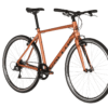 KELLYS BIKE - 2020 PHYSIO 10 BROWN