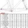 JAVA VESUVIO Carbon 22 speed 105 -2022