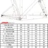 JAVA VISUVIO - geometry JAVA VESUVIO Carbon 22 speed 105