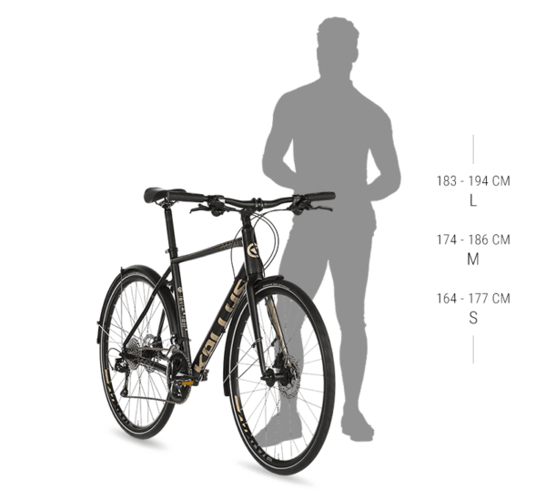Kellys 2020 Physio 30 Sizing Chart Kellys Bike 2020 PHYSIO 30 GREEN