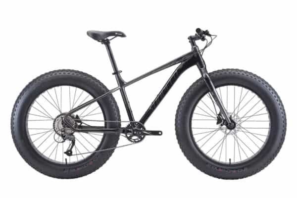 sunpeed fat bike 2020