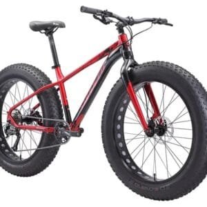 sunpeed fat bike price