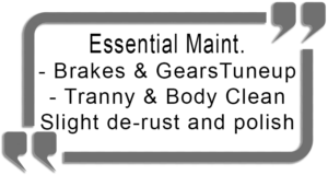 Essential 1 Bike Maintenance - Service