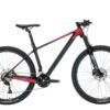 vetta-04 JAVA Vetta DEORE 3x10 Speed - the Most Affordable Carbon MTB