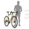 Kellys Bike 2021 SOOT 30 S
