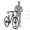 phanatic 10 sizing chart Kellys Bike Phanatic 10 M Red