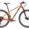 Twitter WARRIOR Pro SRAM Eagle SX-12 speed Carbon MTB 17" 29er Gray