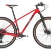 Twitter WARRIOR Pro SRAM Eagle SX-12 speed Carbon MTB 17" 29er Gray