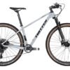 Twitter WARRIOR Pro SRAM Eagle SX-12 speed Carbon MTB 17" 29er Gray
