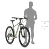 Spider 10 size chart Kellys Bike Spider Spider 10 S Green XC 27.5