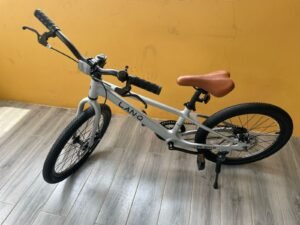 LanQ Q20 Kids Magnesium Alloy Bike 20" Wheels