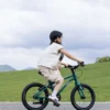 LanQ-Light-03 LanQ Light 16-inch - "Ultra Light" Aluminum alloy Kids bike
