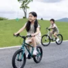 LanQ-Light-04 LanQ Light 16-inch - "Ultra Light" Aluminum alloy Kids bike