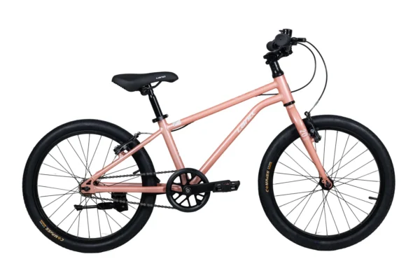 LanQ Light 20-inch - "Ultra Light" Aluminum alloy Kids bike - Image 4