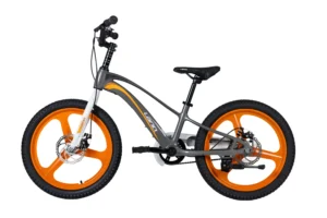LanQ Thunder 20 inch Grey -05 LanQ Thunder 20" Magnesium Alloy MTB 3-Spokes
