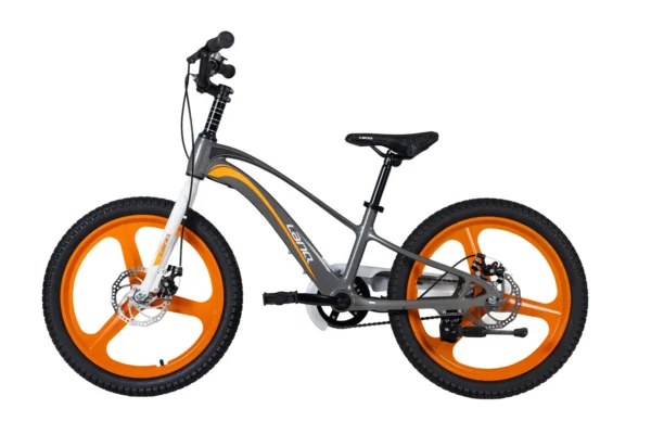 LanQ Thunder 20 inch Grey -05 LanQ Thunder 20" Magnesium Alloy MTB 3-Spokes