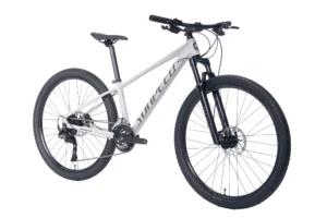 supneed zero 3 -gray -02 Sunpeed Zero 3 Alloy Mountain Bike 2*9 Speed - (By Order)