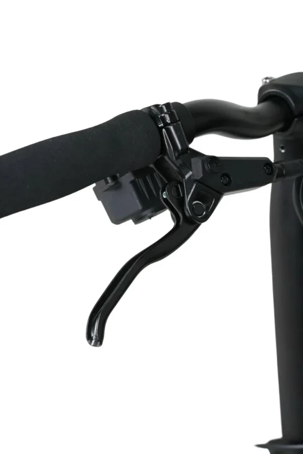 JAVA NEO 12 Speed E-shifter Triple-fold City Bike - BY ORDER