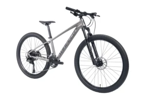 Sunpeed Zero 5 Alloy Mountain Bike 2*11 Speed- (By Order)