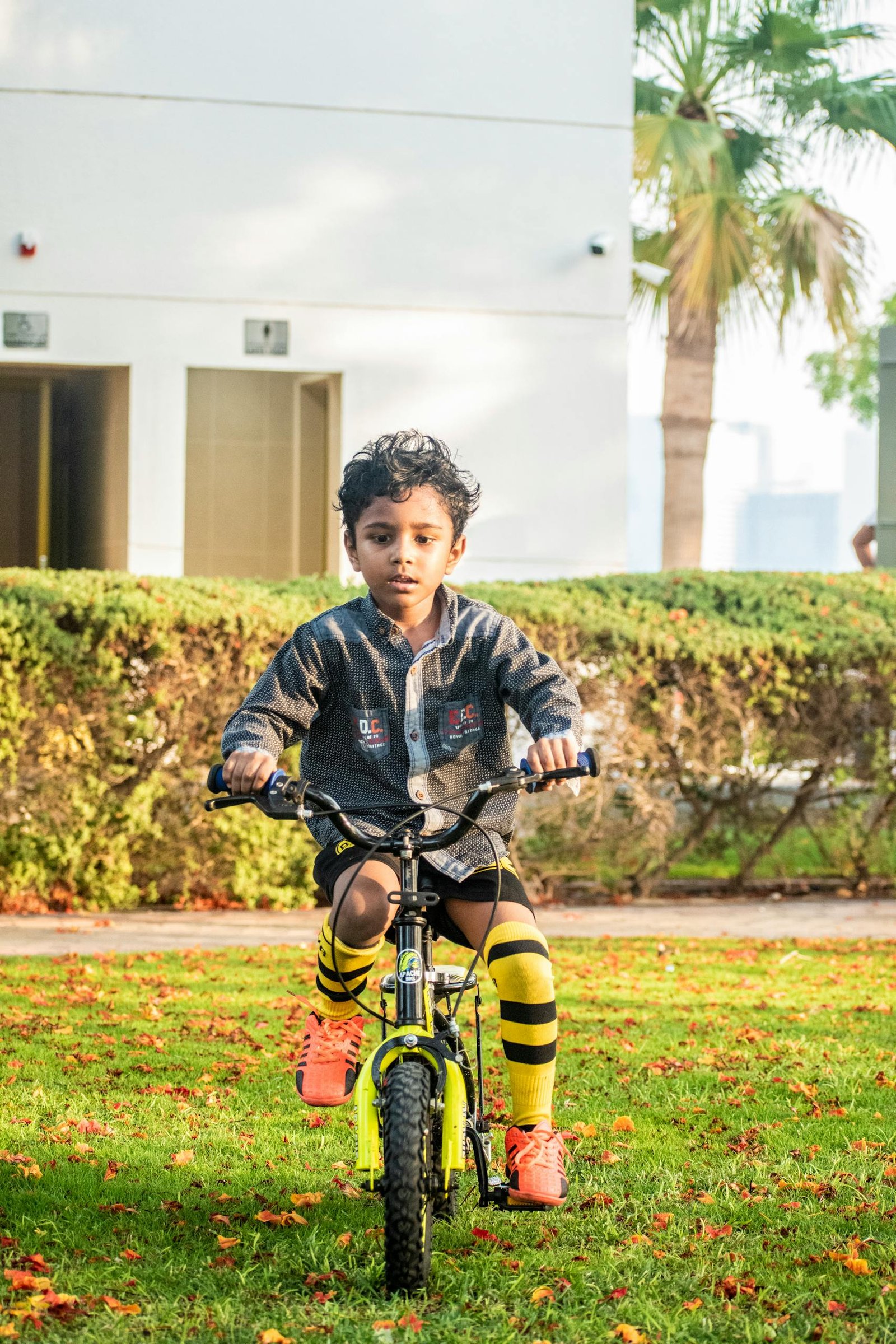 A young boy joyfully rides his bike through a sunlit park, surrounded by nature.